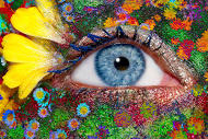 Formation Maître Praticien en Hypnose Ericksonienne